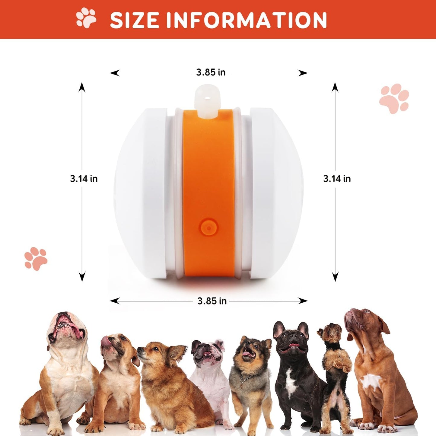 🐾The YOBENSUN™ – Keep Your Pet Relaxed, Happy & Content 🐶