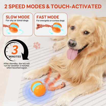 🐾The YOBENSUN™ – Keep Your Pet Relaxed, Happy & Content 🐶