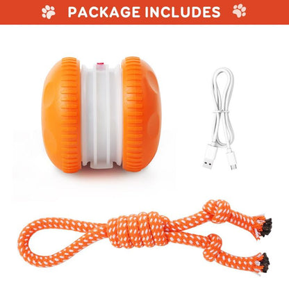 🐾The YOBENSUN™ – Keep Your Pet Relaxed, Happy & Content 🐶